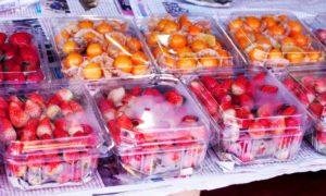 Au sommaire du n° 155 du 05 décembre 2024